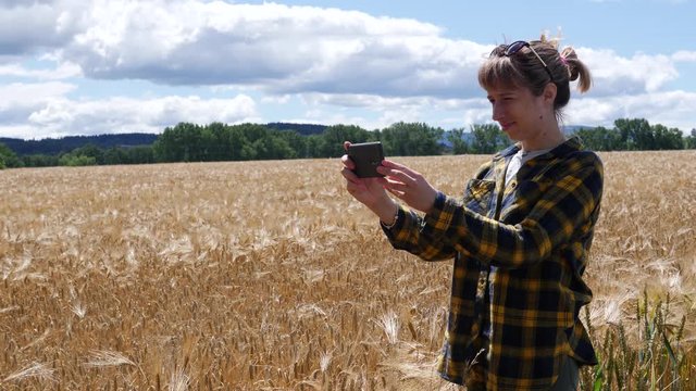 Young woman with mobile smart phone taking pictures of ripe wheat ears on the field for social media