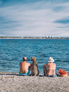 Plage en Famille