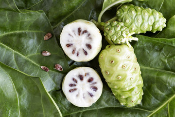Fototapeta na wymiar Noni fruit or Morinda Citrifolia and noni slice with seed isolated on green leaves of the noni background with copy space for text. Top view.