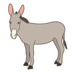 vector, isolated donkey gray