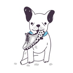 Amusing dog sitting and chewing or gnawing shoe. Funny naughty puppy isolated on white background. Bad habit, problematic behavior of domestic animal or pet. Colorful hand drawn vector illustration.