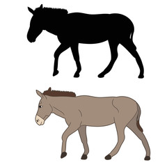 vector, isolated, silhouette of a donkey goes on a white background