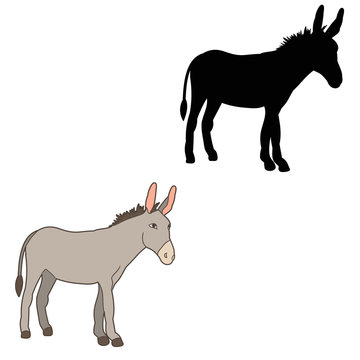 vector, isolated, silhouette of a donkey standing in front of a white background