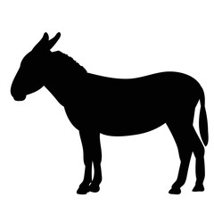 black silhouette of a donkey