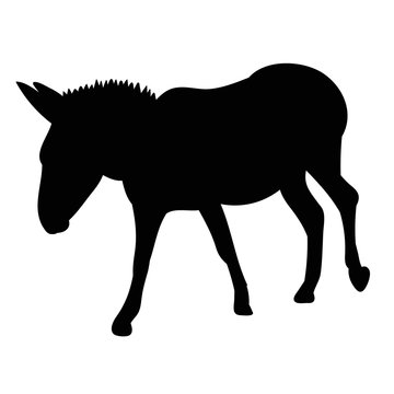 isolated black silhouette of a donkey