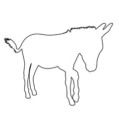 contour of donkeys, sketch