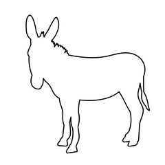 isolated contour of donkeys, sketch