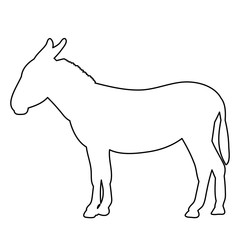 vector, isolated contour of donkeys, sketch