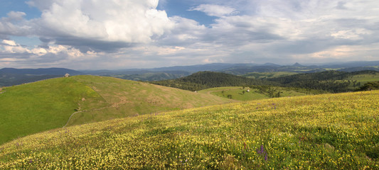 Obraz premium Panoramic view of floral meadow in Zlatibor mountain