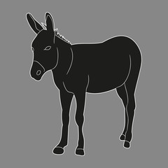 silhouette of a donkey, mule