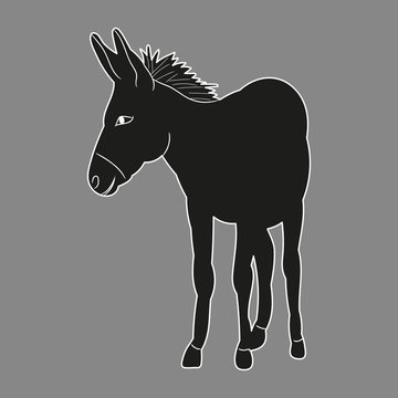 silhouette of a donkey, mule, on a gray background