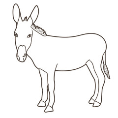 vector, isolated sketch of a donkey standing