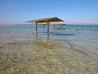 Exotics of the Dead Sea