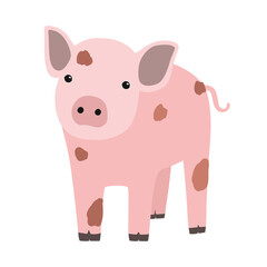 Fototapeta premium Pink pig or piglet isolated on white background