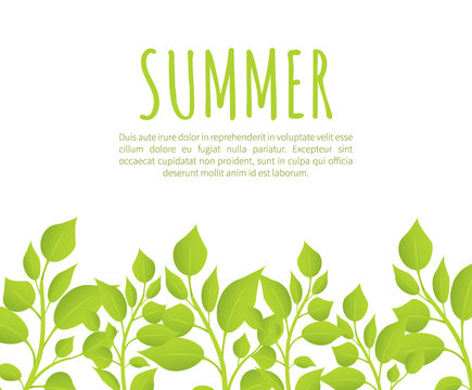 Summer Banner Template with Fresh Thick Weed Grass