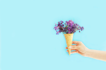 background,beautiful,beauty,blue,bouquet,bright,card,color,concept,creative,day,decor,decoration,design,female,flora,floral,flower,garden,gift,green,hand,natural,nature,purple,spring,summer,waffle con