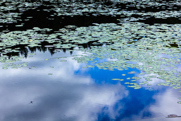 sky reflected in lake water