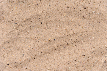 Sandy natural background of sea wild beach