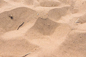 Sandy natural background of sea wild beach