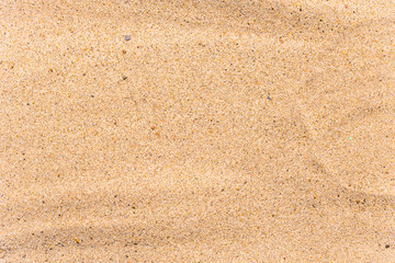 Sandy natural background of sea wild beach