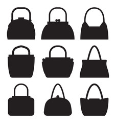 Collection of Women Bags Accessories for Females