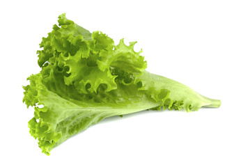 Fresh green lettuce leaves isolated on white background