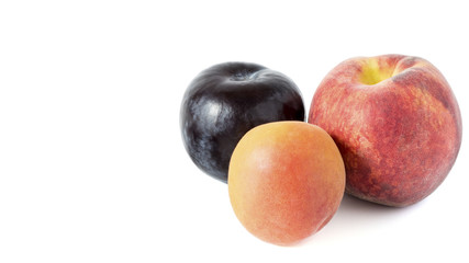 Zwei Pfirsiche und eine Pflaume vor einem weißen Hintergrund