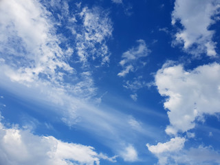 Pretty cloud used for synthesis