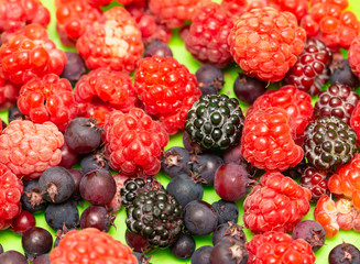 berries raspberries, blackberries on a green background