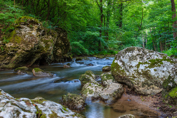 Beautiful mountain stream surrounded by trees and rocks in Serbia, Europe