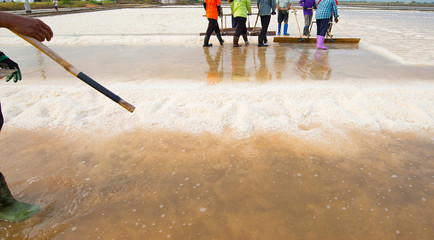 Many people cooperate to make natural salt in the traditional pr