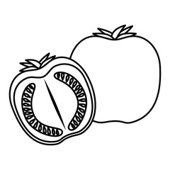 fresh tomato slide healthy food vector illustration design