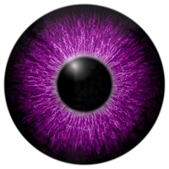 3d purple eye with black fringe and white background