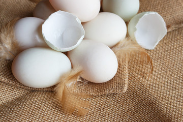 Fresh duck eggs and feather on sackcloth