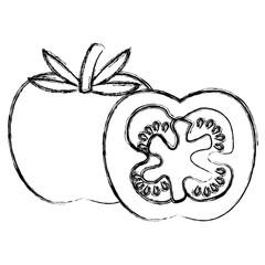 fresh tomato slide healthy food vector illustration design