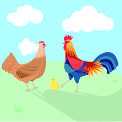 Rooster hen and chick