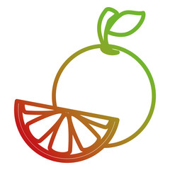 orange half fresh fruit healthy vector illustration design