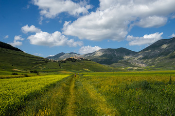Obraz premium road to castelluccio