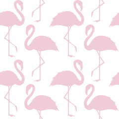 Trendy pink and white flamingo seamless pattern