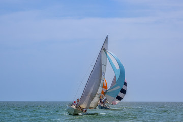 Sailing Yachts in the Open Sea