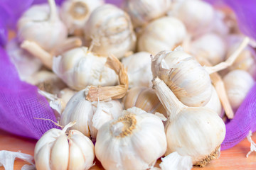 Garlic and Garlic Cloves and bulb