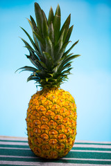 Pineapple, Blue Background, Holiday, Healthy, Refreshing
