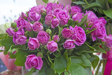 bouquet of pink roses in a vase given for a birthday