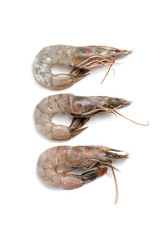 Three fresh royal prawns close-up on a white background..