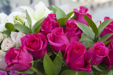 bouquet of pink roses in a vase given for a birthday