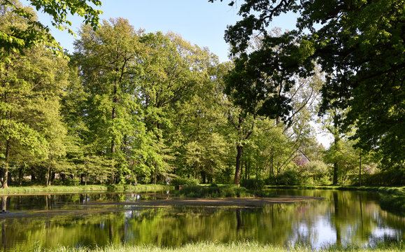 Teich im Schlosspark von Schloss Neschwitz