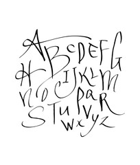 벡터 문자 / 손으로 쓴 글씨체