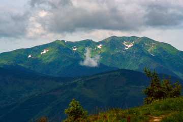 Obraz na płótnie Canvas Green rocky mountain ridge covered with lush grass