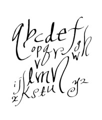 벡터 문자 / 손으로 쓴 글씨체