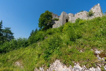 Ruine Ehrenberg